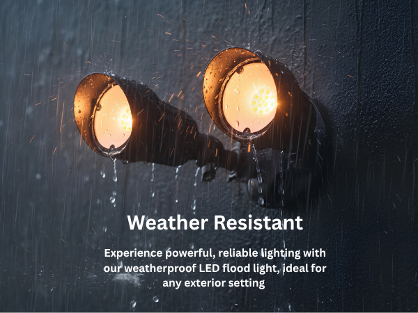 LED-Double Flood-Matte Black-20W 3000K