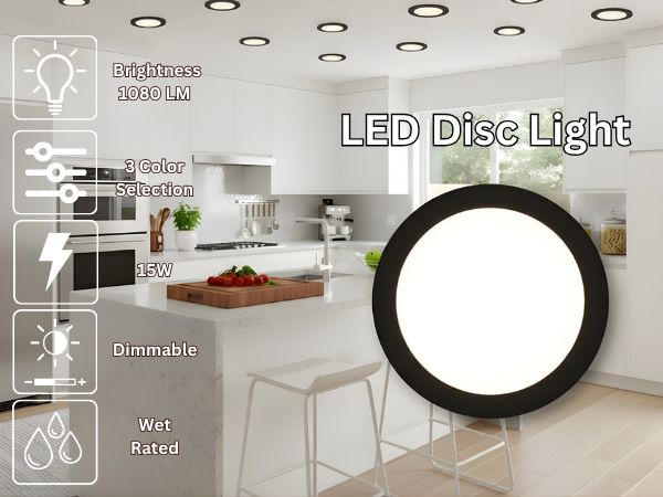 Matte Black 5/6" LED Disk Light - 15W - 3000K Dimmable