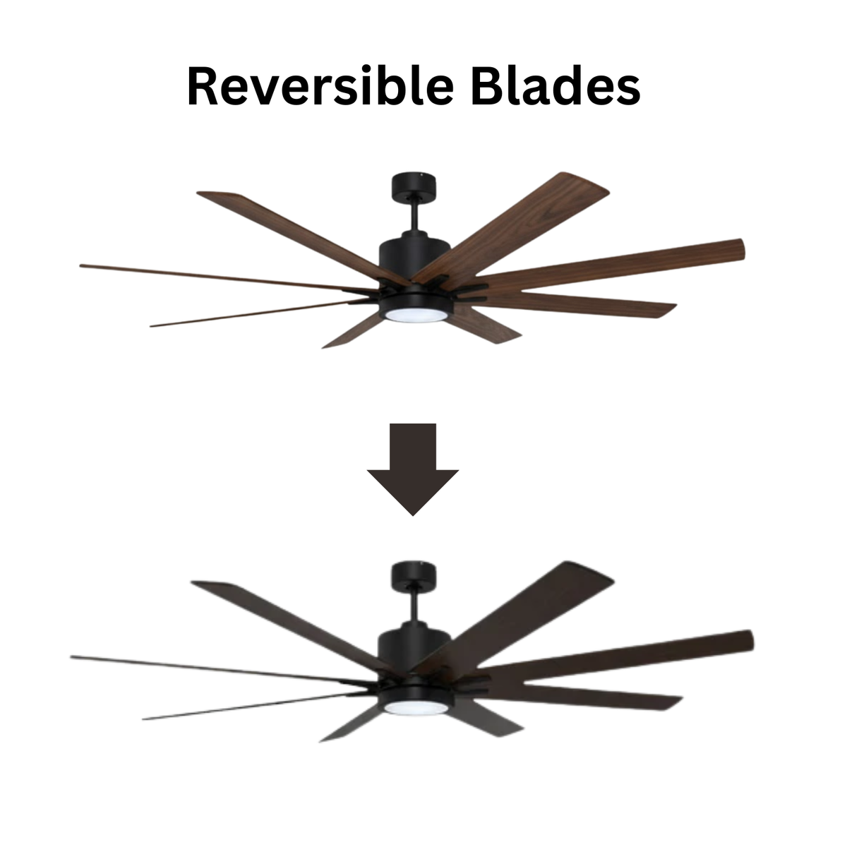 8-Blade 66" MB Fan Matte Black/Walnut Blades 20W LED 3K,4K,5K