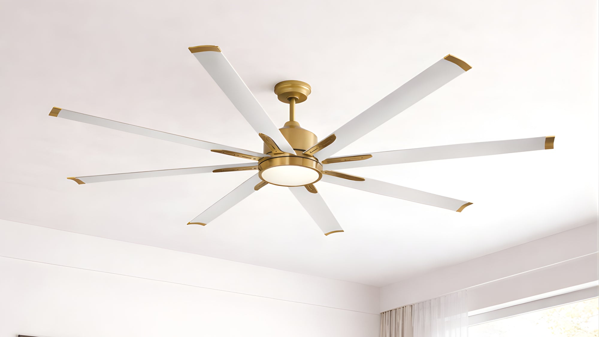 Ceiling Fans