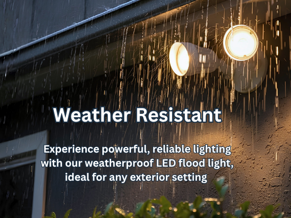 LED-Double Flood-White-20W 3000K
