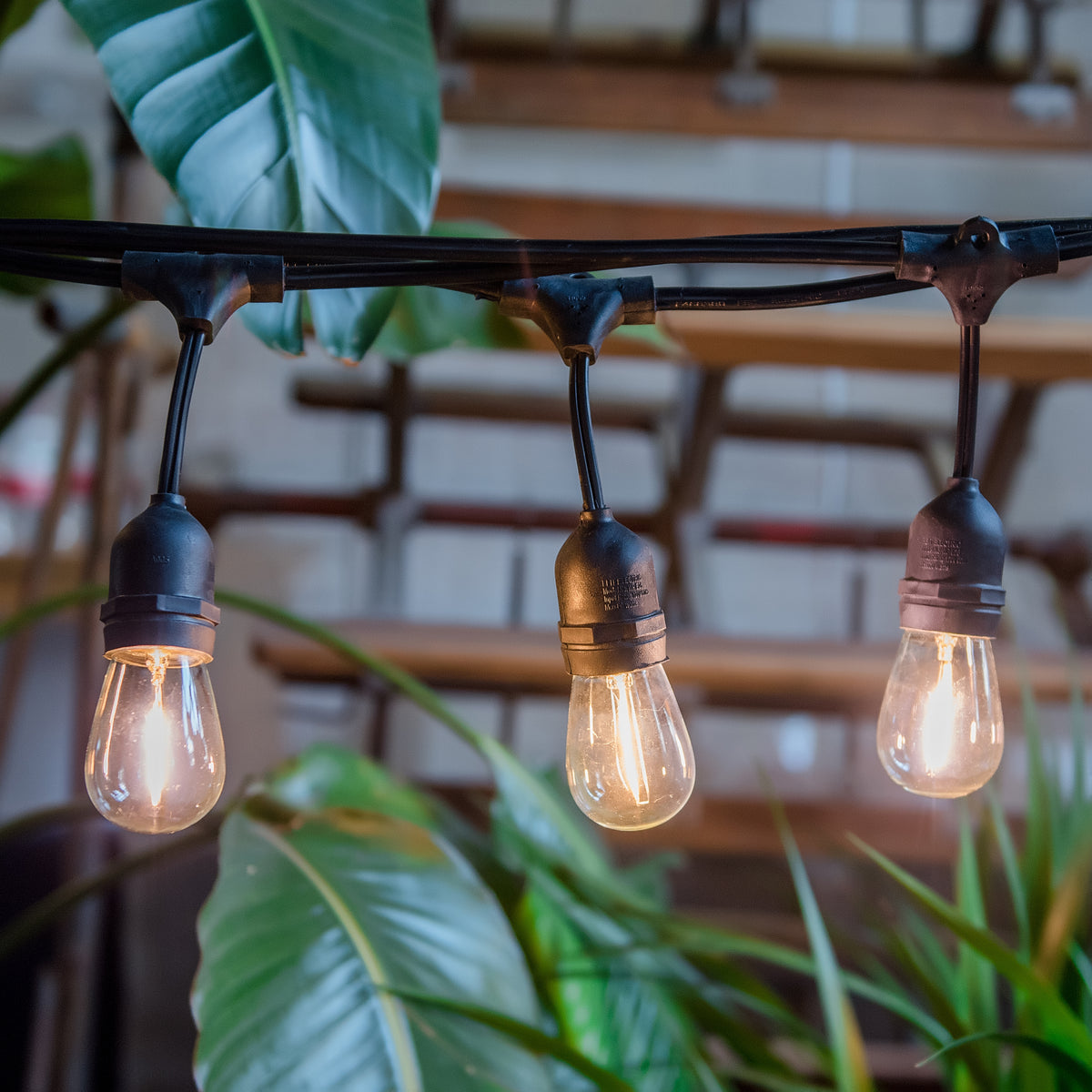 Waterproof decorative outdoor led lights with 12 light