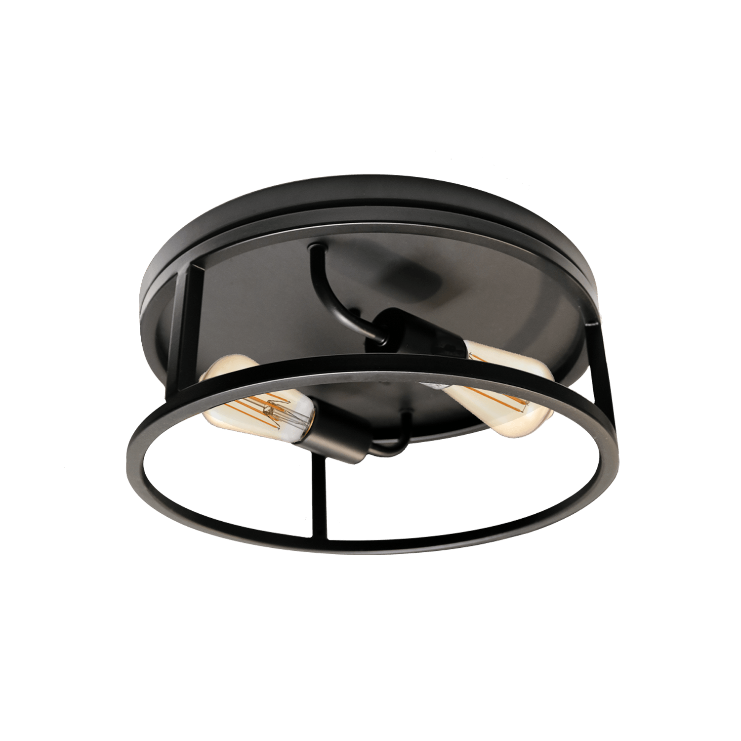 Black ceiling mounted light with 2 light - Vivio Lighting