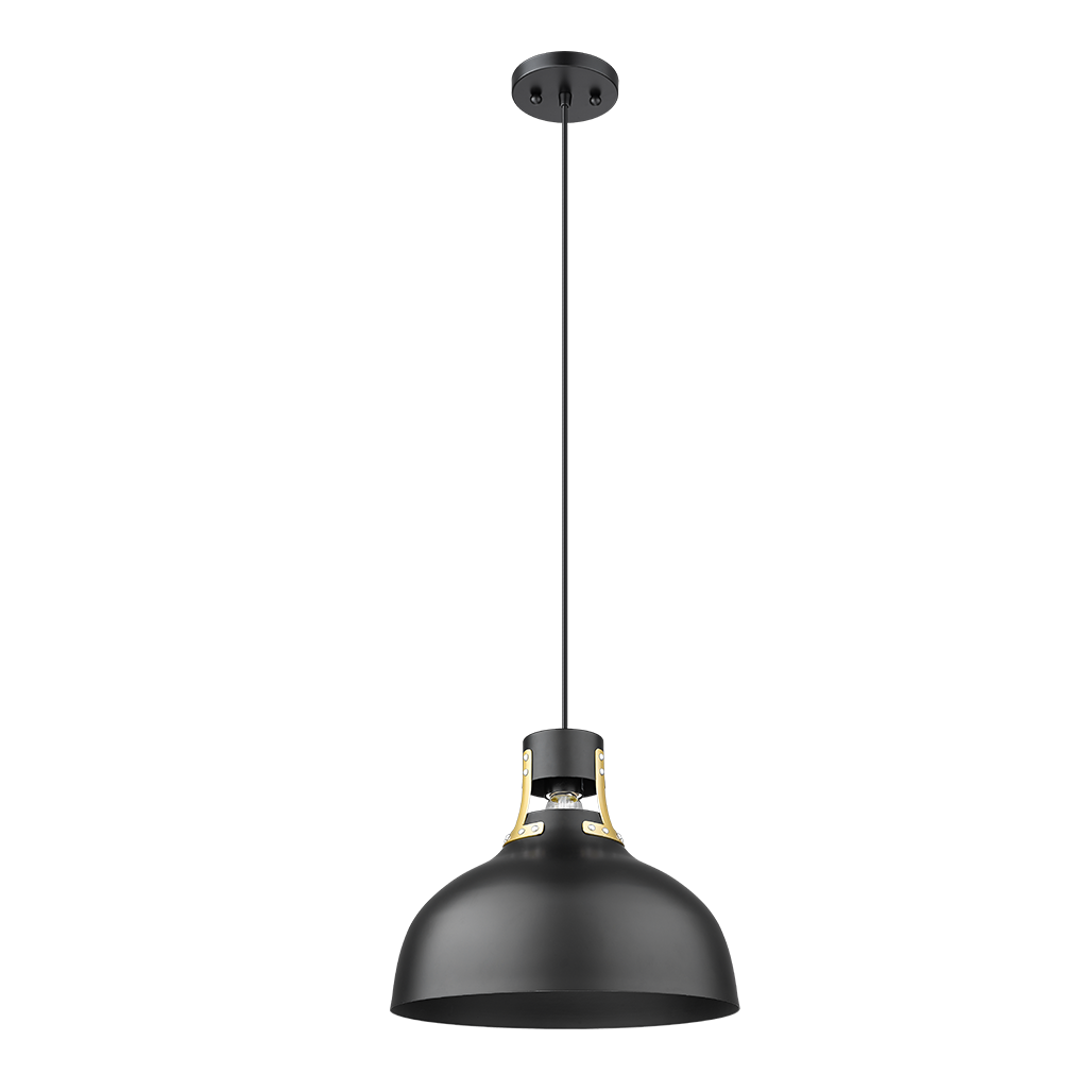 Black dome pendant light - Vivio Lighting