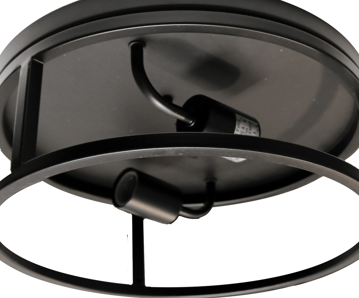 Black ceiling mounted light with 2 light - Vivio Lighting