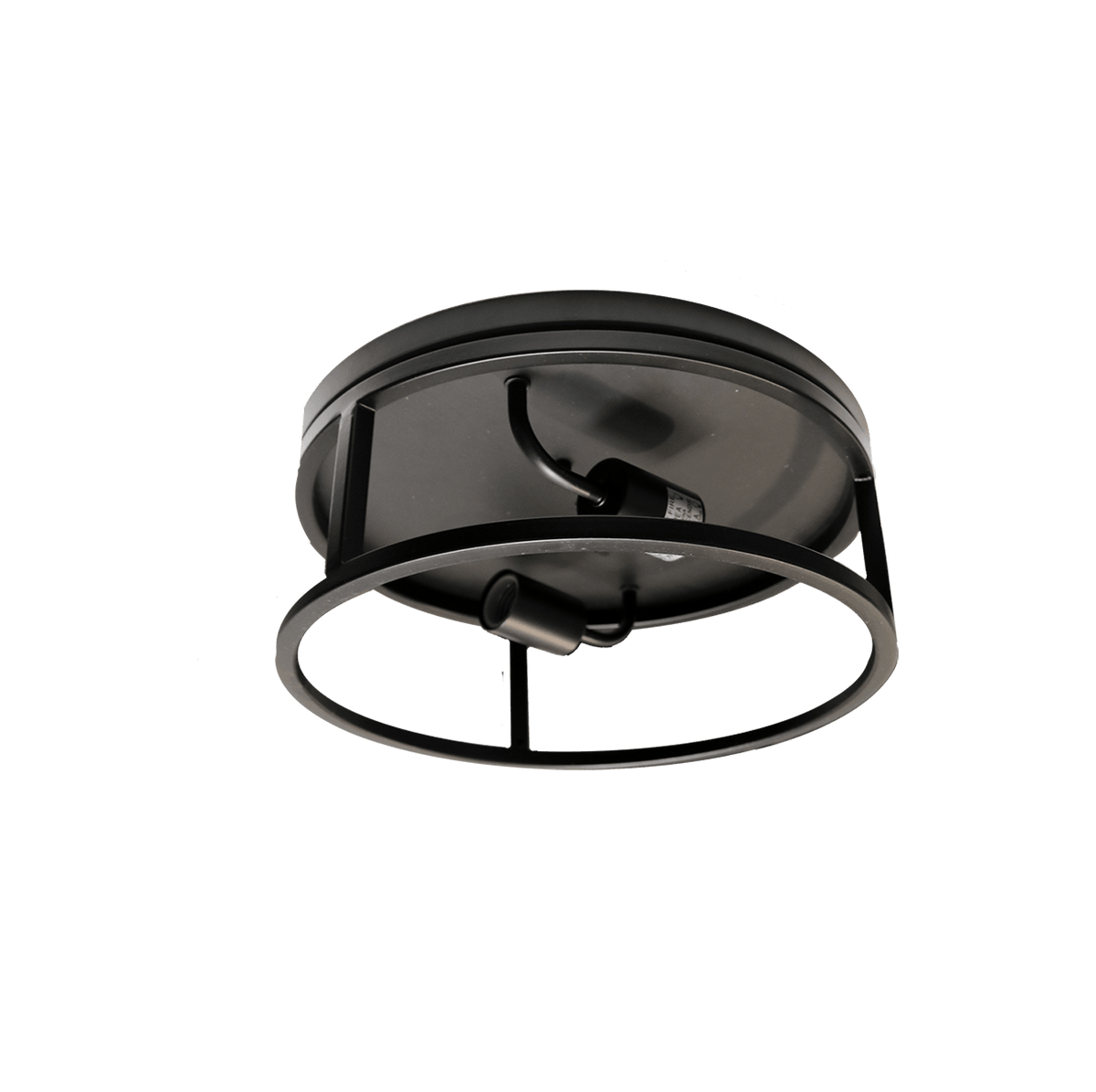 Black ceiling mounted light with 2 light - Vivio Lighting