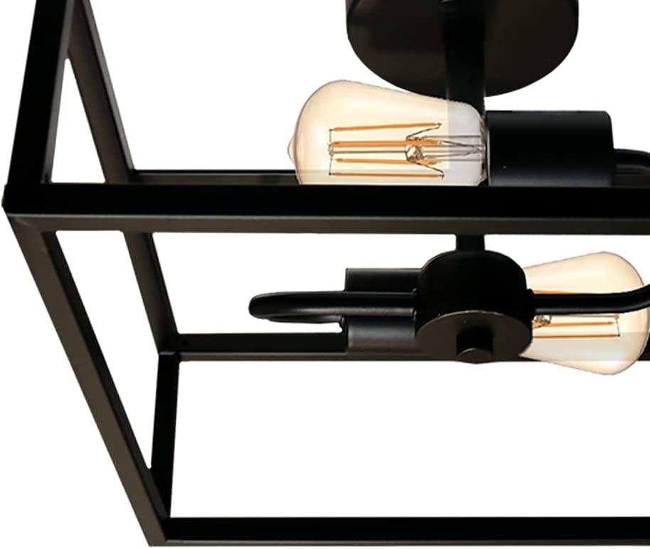 Black square ceiling mounted light with 2 light - Vivio Lighting