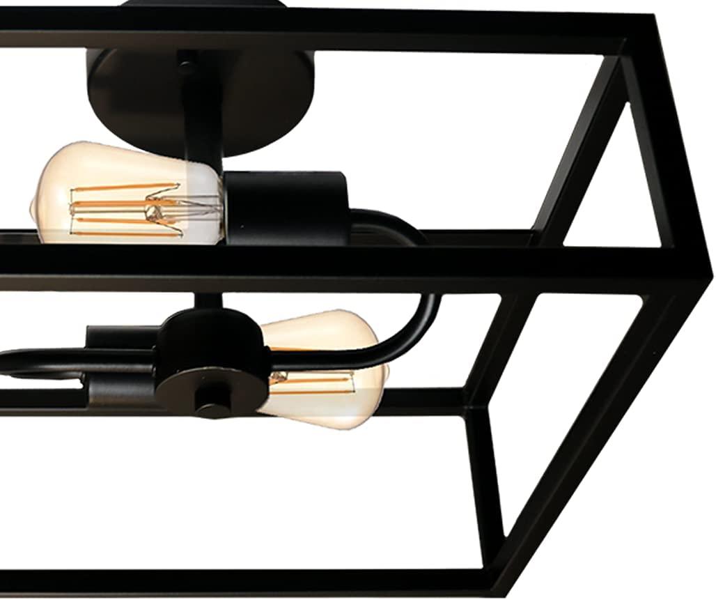 Black square ceiling mounted light with 2 light - Vivio Lighting