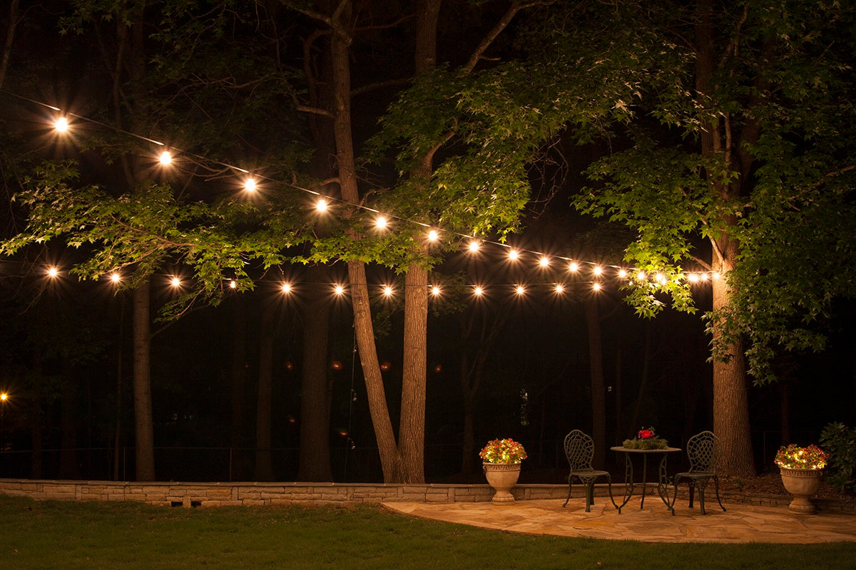 Waterproof decorative outdoor led lights with 12 light